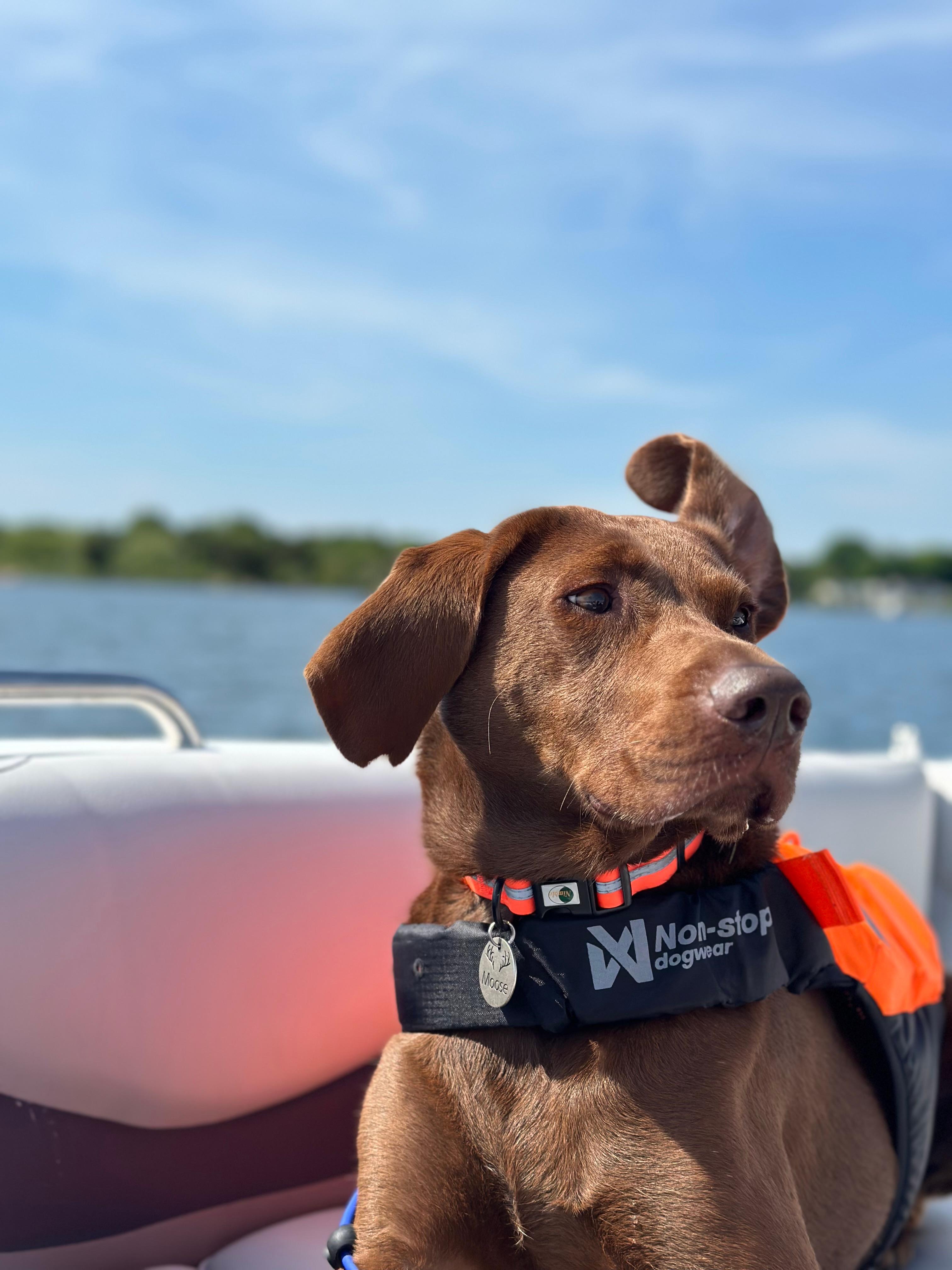 Spending time on the Boat